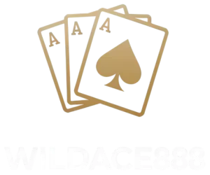 WILDACE888 CASINO