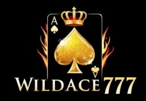 WILDACE777 CASINO
